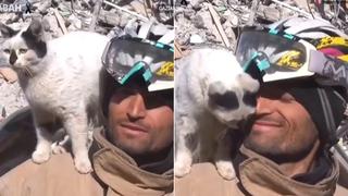 Gatito rescatado entre los escombros en Turquía se niega a abandonar al hombre que lo salvó