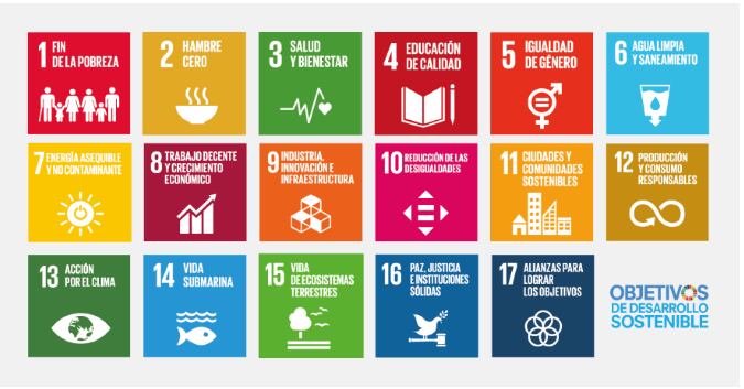 Son 12 los objetivos de desarrollo sostenible (ODS) que han sido trazados por las Naciones Unidas para marcar la hoja de ruta al año 2030.