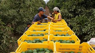 Exportaciones agropecuarias aumentaron 14 % en julio