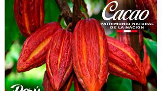 Ponen en circulación la primera estampilla conmemorativa sobre el cacao peruano