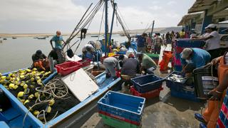Pesca artesanal en crisis: los insumos marinos son cada vez más difíciles de adquirir