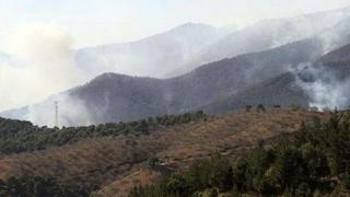 Cusco: incendio forestal fue extinguido en su totalidad
