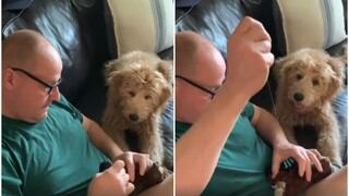 Perro no puede contener la emoción mientras reparan su juguete favorito que hizo añicos y se vuelve viral