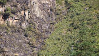 Cusco: alcalde de Machupicchu informa que incendio forestal en el sector de Llamakancha fue controlado