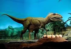 Los huevos de dinosaurio tenían un periodo de incubación de 3 a 6 meses