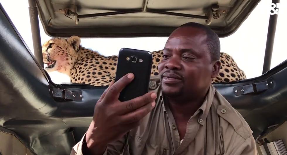 Unos turistas sintieron de cerca el verdadero terror durante un safari. (Foto: T&amp;T Creative Media en YouTube)