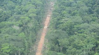 Ucayali: denuncian que aumenta deforestación de bosques por construcción de ‘narcopistas’