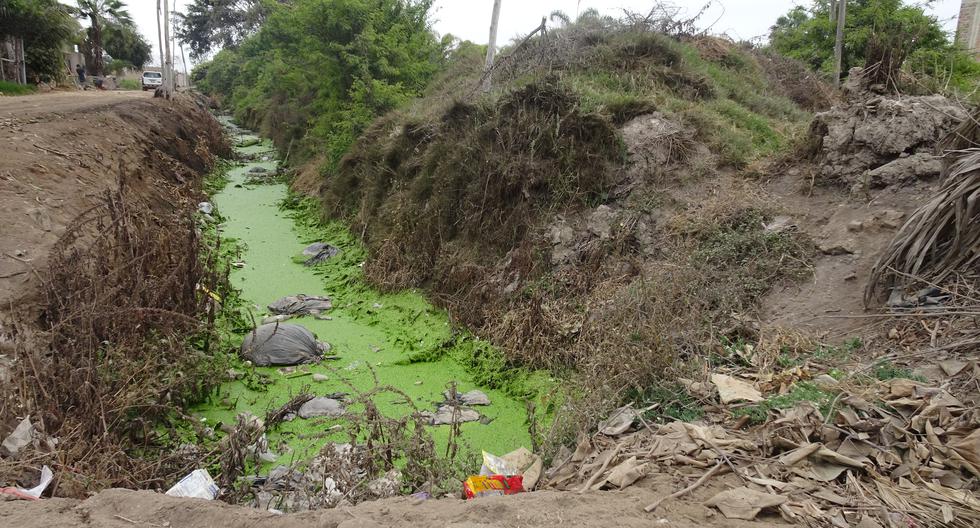 Aguas contaminadas de las acequias. Foto: Fiorella Alvarado.