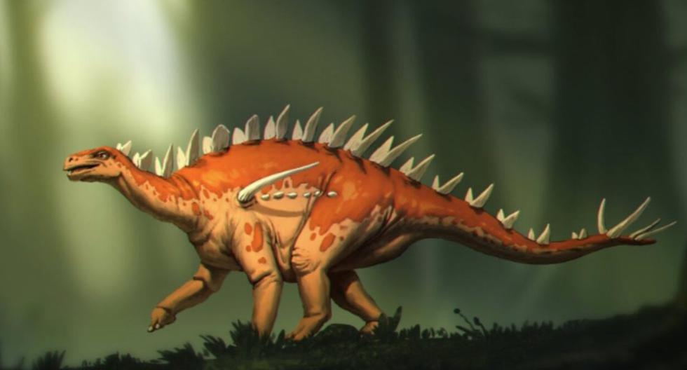 Hanno trovato una nuova specie di Stegosaurus, uno dei dinosauri più famosi |  Tecnica