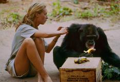 'Jane', el documental de la primera persona que entendió a los chimpancés