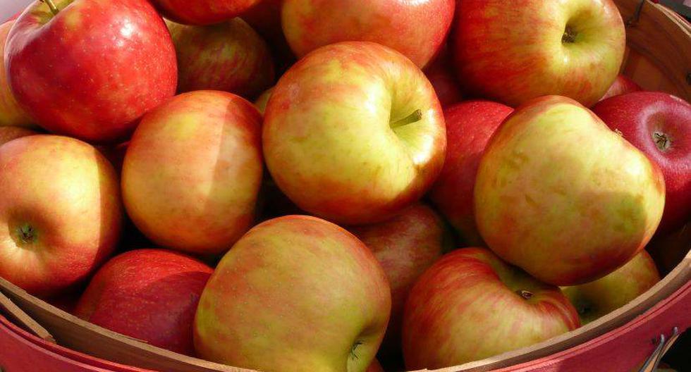 Las manzanas eran el principal producto agrícola de exportación de Polonia a Rusia. (Foto: Cortesía Morguefile)