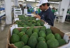 Perú ahora reforzará acceso de nuevos productos agrícolas en Asia