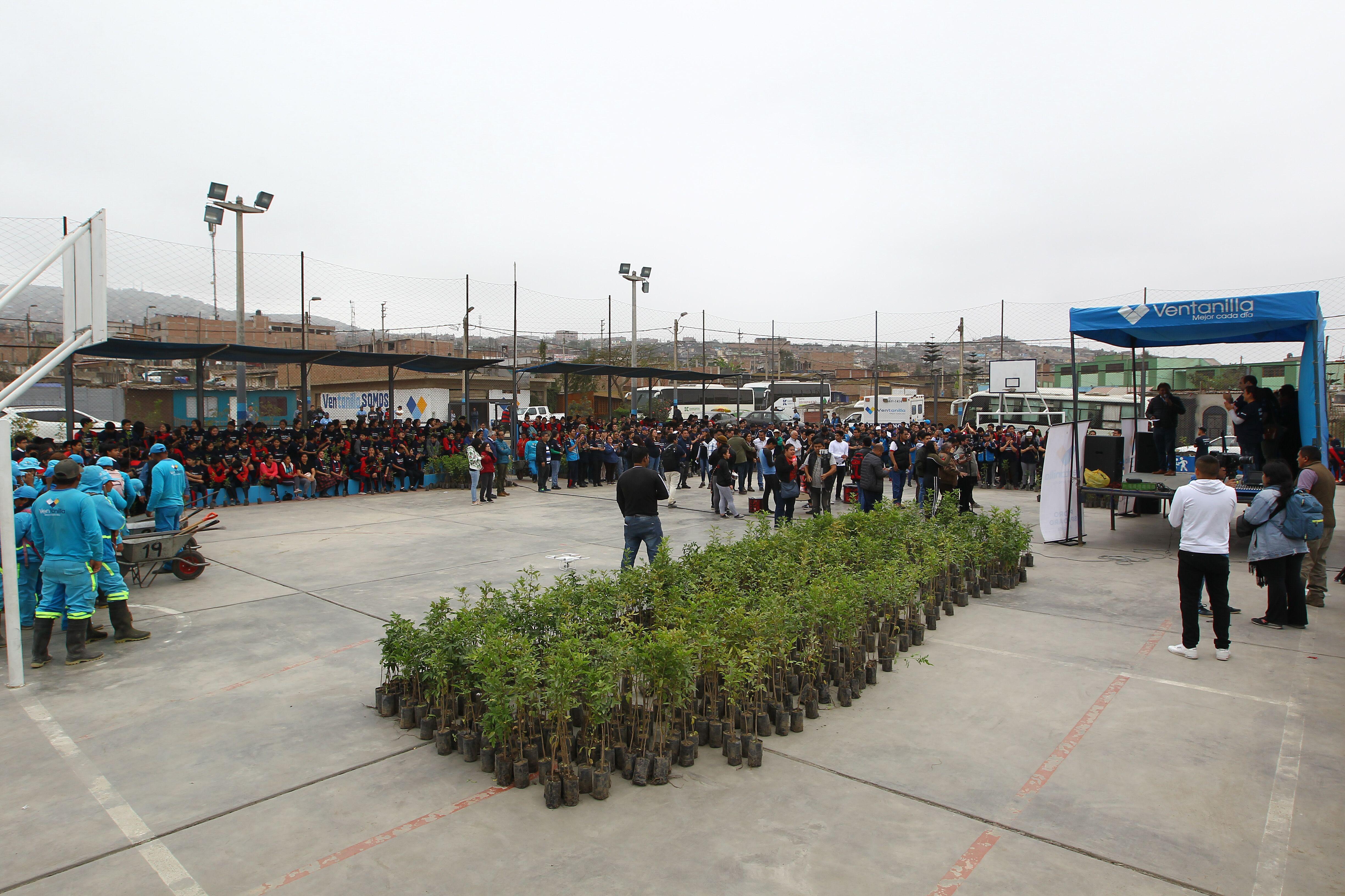 Voluntarios sembraron más de 2.400 árboles en Ventanilla (Foto: Fundación Telefónica).