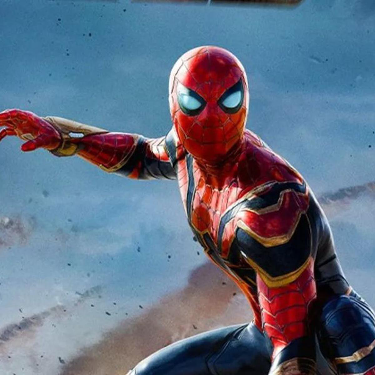 Tom Holland: qué pasará con Spider-Man 4 tras el retiro temporal del actor  | Películas de Marvel | MCU | nnda nnlt | FAMA | MAG.
