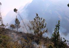 Puno: incendio forestal destruyó 60 hectáreas de cobertura natural