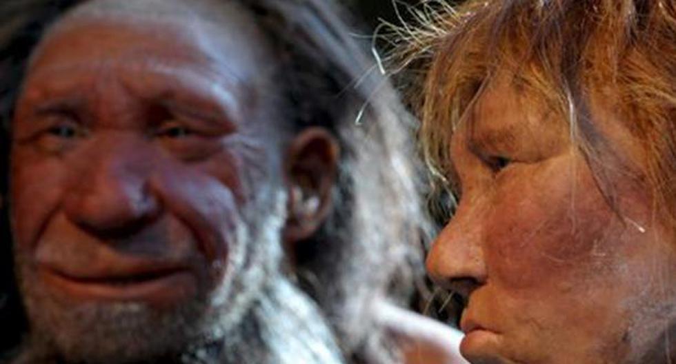 Nuevos análisis del ADN mitocondrial han permitido arrojar luz a la relación entre los neandertales y los humanos modernos. (Foto: EFE)