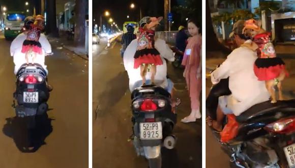 Una perrita fue vista recorriendo a toda velocidad las calles de Vietnam con una peculiar vestimenta. (Foto: ViralHog en YouTube)