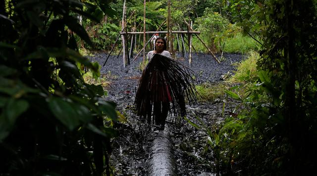 El Comercio llegó el pasado 10 de julio a la zona del derrame de petróleo en Loreto. (Foto: Rolly Reyna)