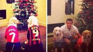 Alexis Sánchez vistió a sus perros con sus camisetas para Navidad
