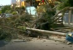 Breña: camión causó la caída de postes y árboles