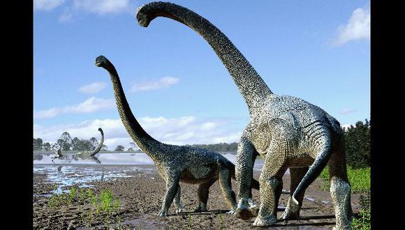 Descubren nuevos dinosaurios de cuello largo en Australia