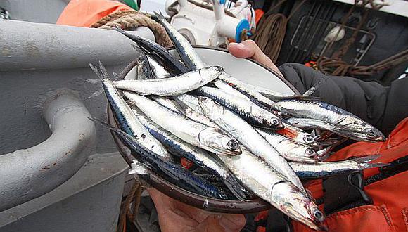 Pesca de anchoveta en zona norte-centro superó el 50% de cuota