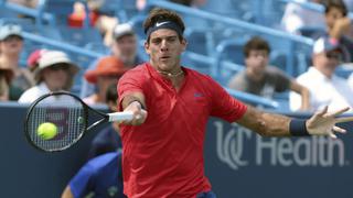 Juan Martín del Potro cayó ante Grigor Dimitrov en el Masters 1000 de Cincinnati