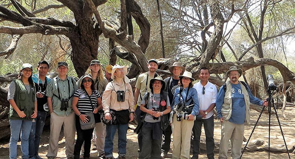 Expertos mundiales en observación de aves recorrieron Santuario Bosque de Pómac. (Foto: Andina)