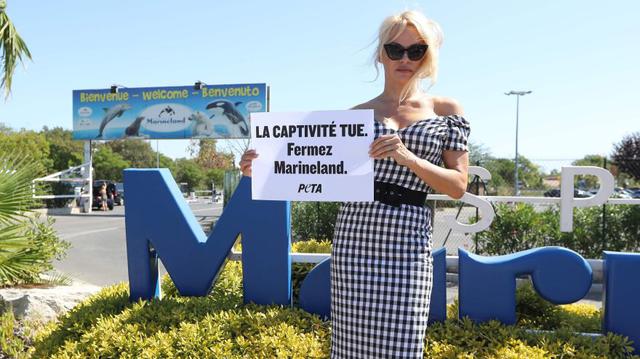 La particular protesta de Pamela Anderson en Francia. (Fotos: Agencias)