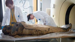 La impresionante momia embarazada cuyo feto quedó intacto miles de años