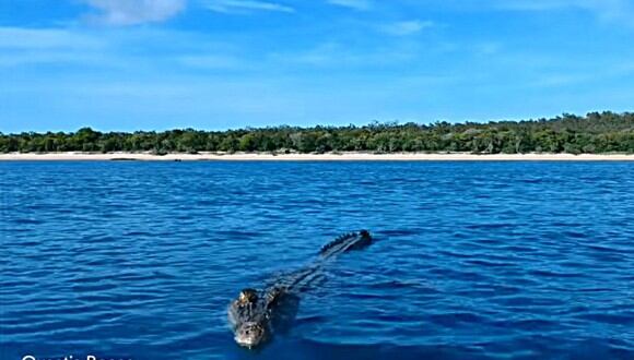El impactante video fue capturado en las costas de Groote Eylandt, una isla del norte de Australia. (Foto: Referencial/Pixabay)