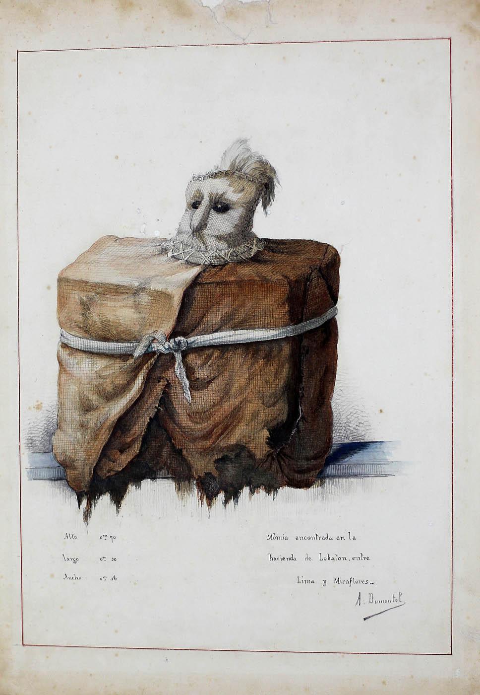 Momia encontrada en la hacienda Lobatón, entre Lima y Miraflores, según acuarela de Alfred Dumontel, artista francés y colaborador de Raimondi.