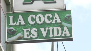 Opiniones encontradas en Bolivia tras ley sobre cultivo de coca