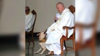 Perro interrumpe una misa y la reacción de sacerdote asombra a los fieles