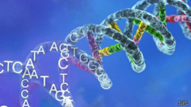 Amplían por primera vez el código genético que crea la vida - 1