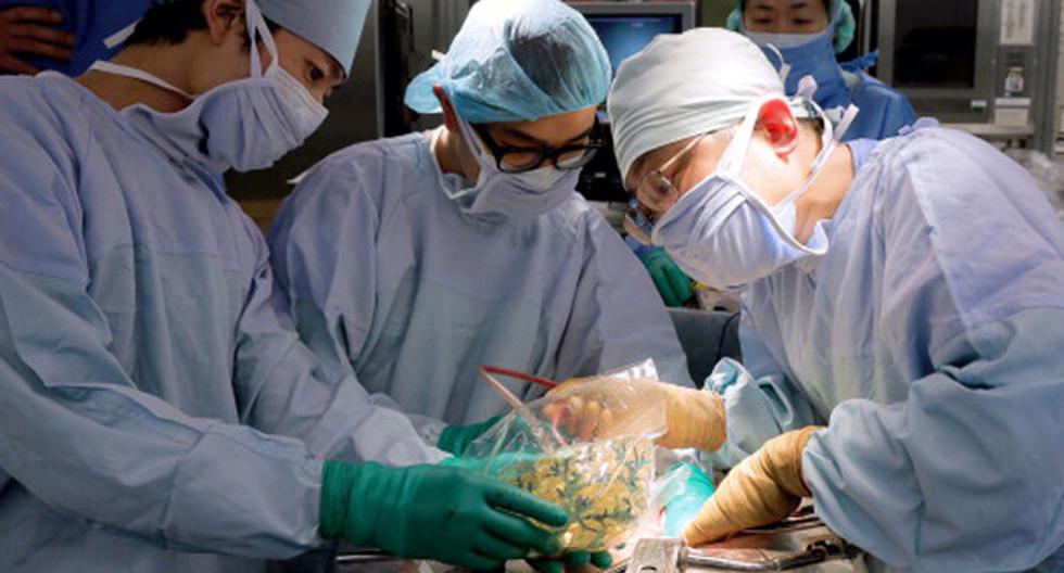 Este increíble avance realizado por científicos japoneses podría facilitar los trasplantes de miocardio. (Foto: Getty Images / Referencial)