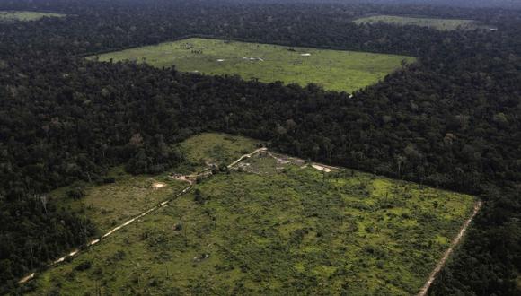 Indonesia desplaza a Brasil en tasa de deforestación