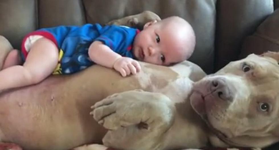 La tierna amistad entre un pitbull y este bebé conmueve YouTube. (Foto: YouTube)