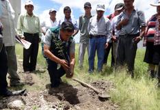 Perú: más de 10 mil árboles crecen en zona desértica tras inundaciones