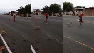 Perro interrumpe maratón y corretea a hombre provocando miles de risas | VIDEO