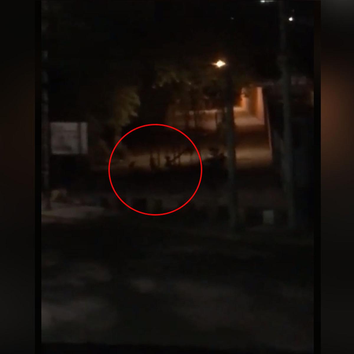 Usuario de Tiktok asegura haber captado a un duende real en video – El  Heraldo de San Luis Potosí.