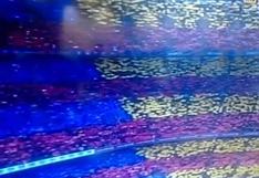 Barcelona vs Real Madrid: Camp Nou lució tremendo mosaico (VIDEO)