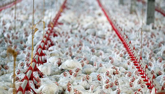 El Perú se ubica como el mayor consumidor de pollo per cápita en toda la región. (Foto: Reuters)