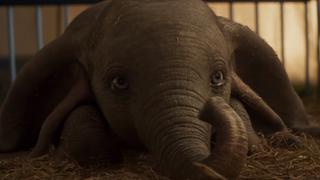 "Dumbo": Disney publica adelanto de la nueva canción "Baby Mine"