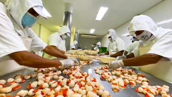 Financiarán proyectos en pesca y acuicultura. (Foto: GEC)