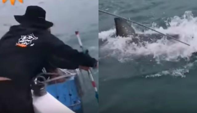 El joven estaba atrayendo al tiburón con un cebo, pero no reaccionó lo suficientemente rápido. (Foto: Captura/YouTube)