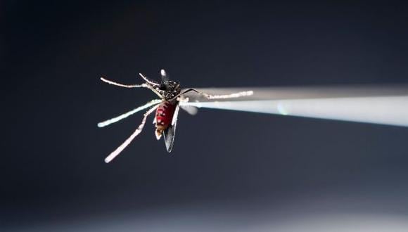 Extraño caso de contagio de zika en Utah sorprende a expertos