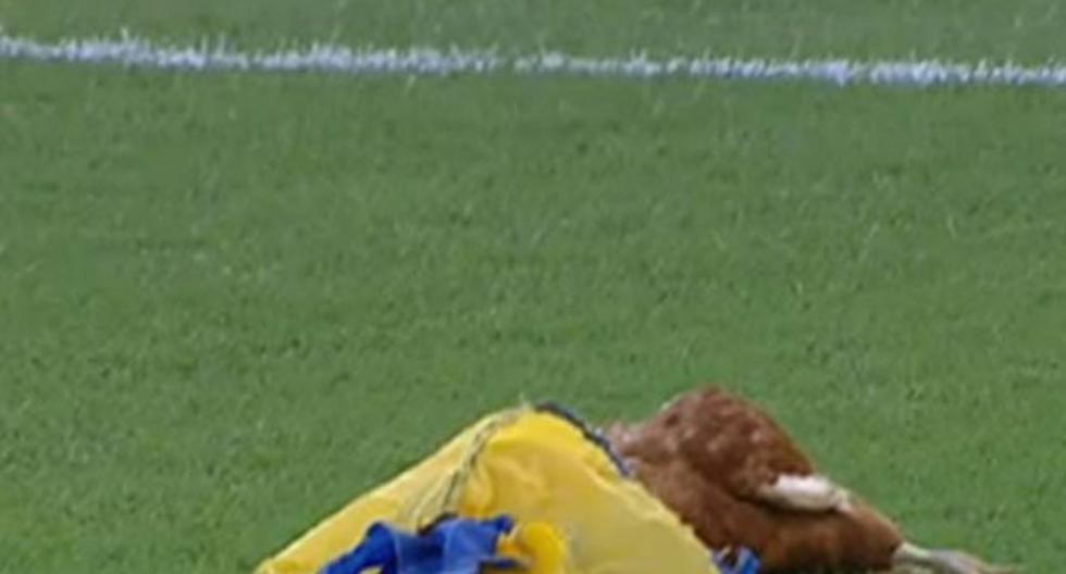 Hinchas de Newell\'s Old Boys lanzaron una gallina muerta durante partido del torneo argentino | Foto: Captura
