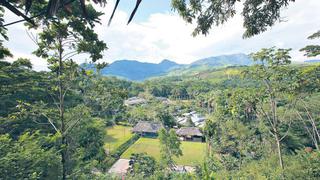 San Martín da el ejemplo para cuidar los bosques