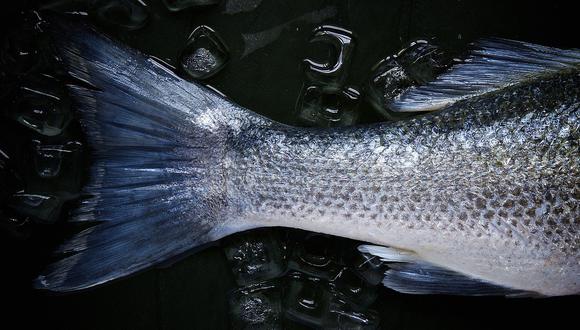 Imagen referencial de un pescado en un congelador. (Pixabay)